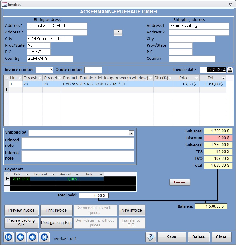 Access Invoice Template invoice example