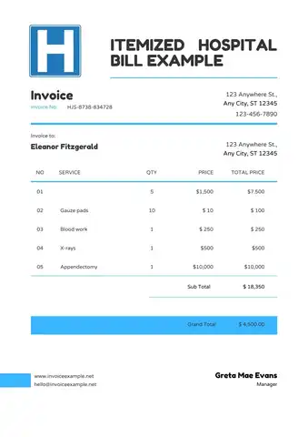 itemized hospital bill