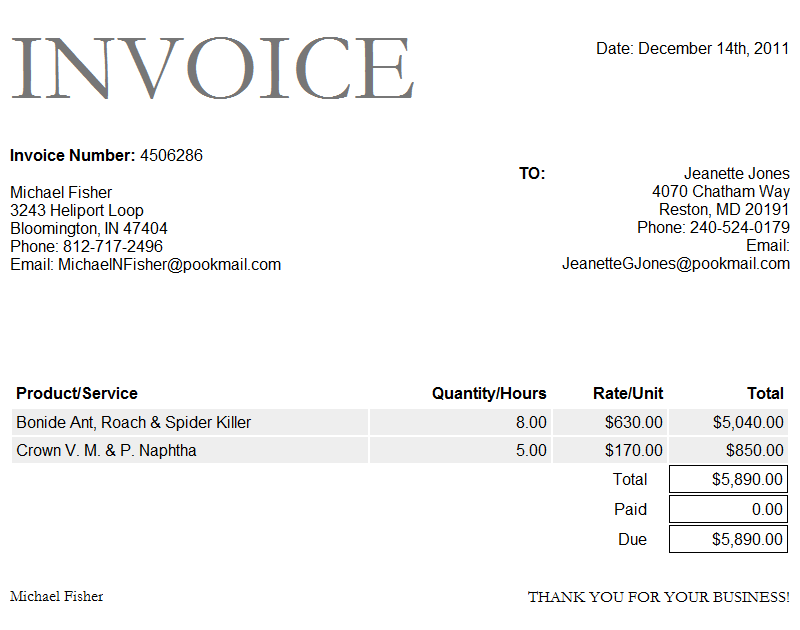 Paid Invoice Template Word  invoice example